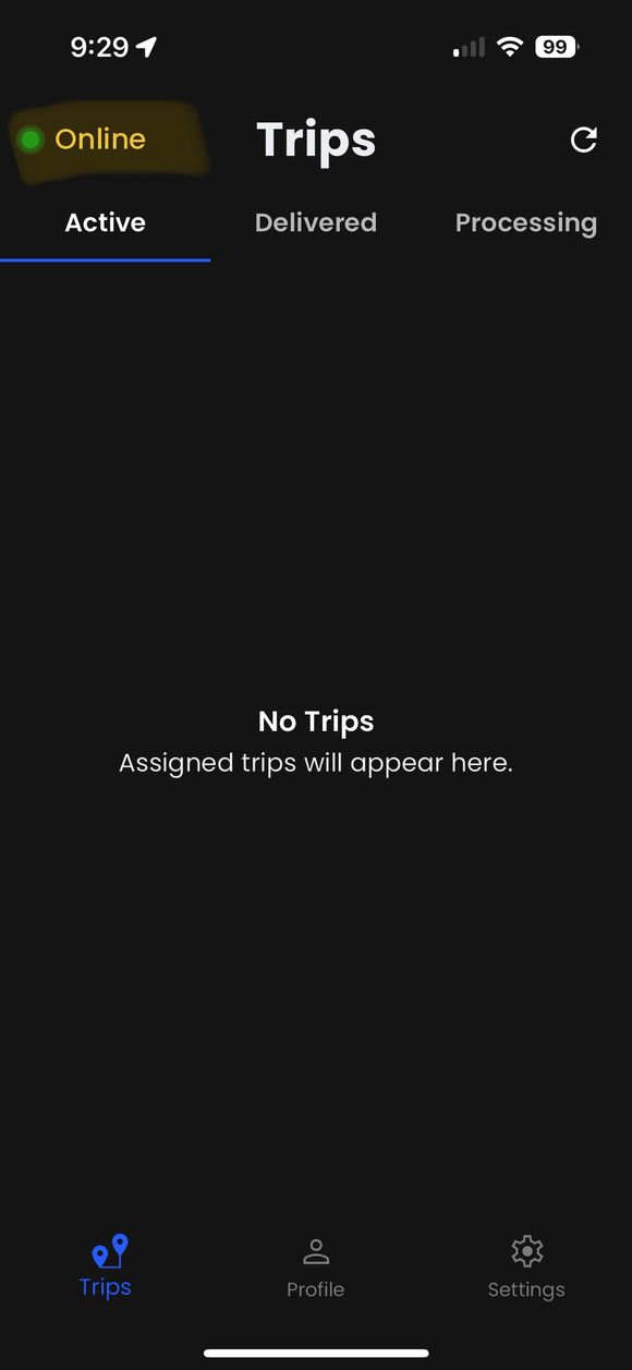 Online status toggle