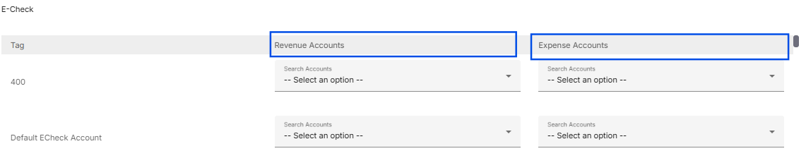 Image showing E-Check account mapping for revenue and expense views