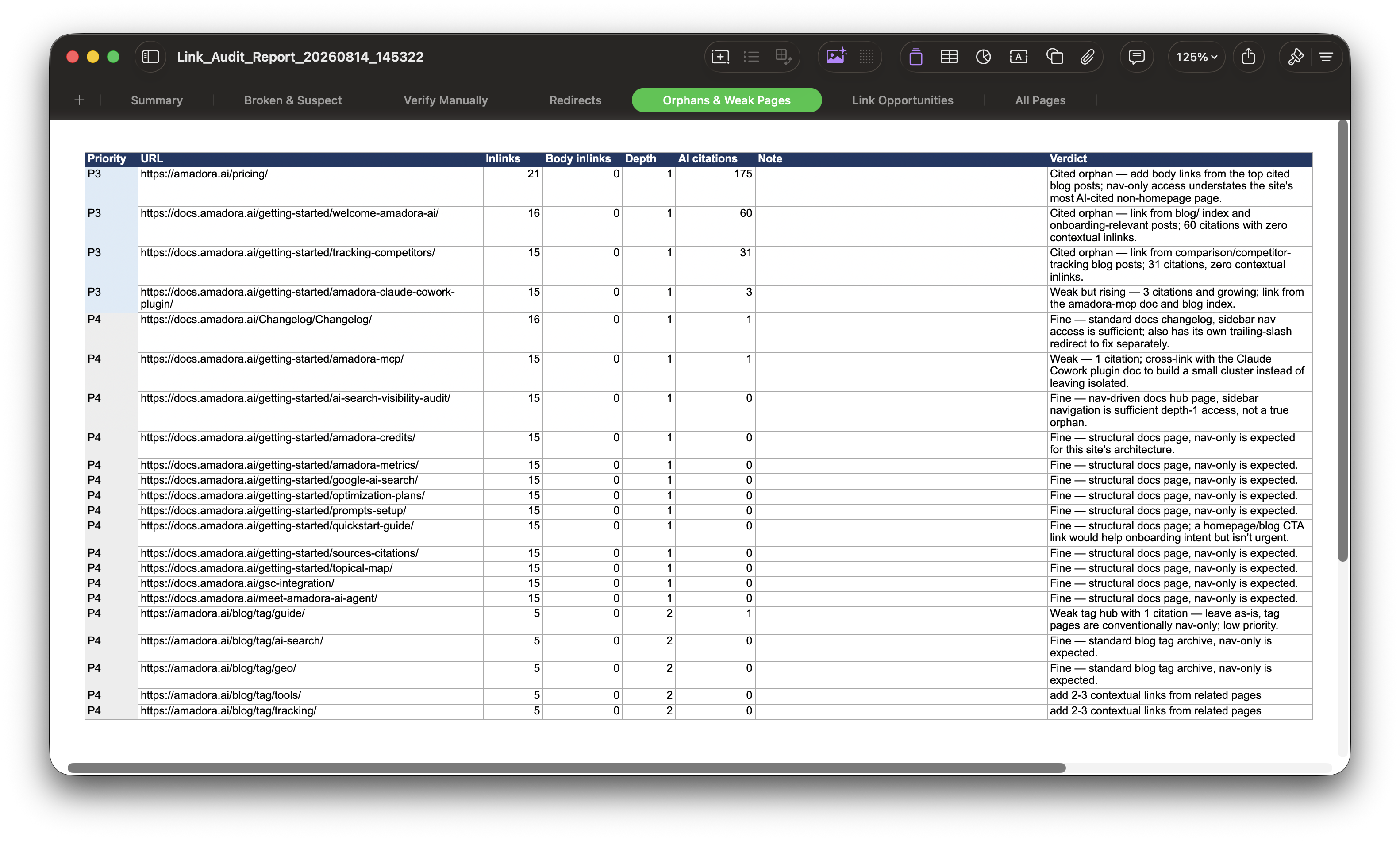 Link Audit Report