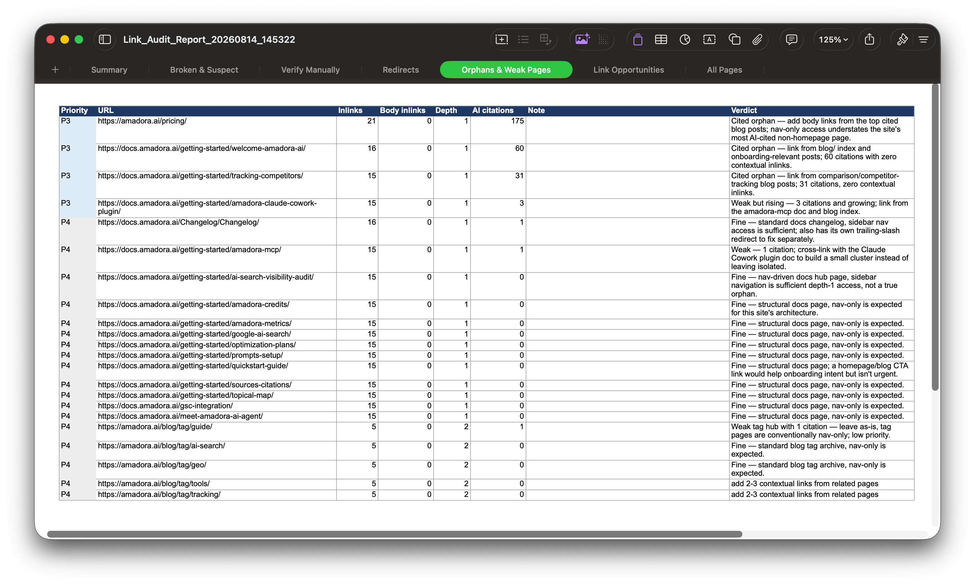 Link Audit Report
