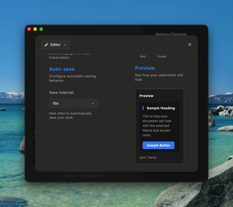 Amber Settings showing auto-save interval and live theme preview