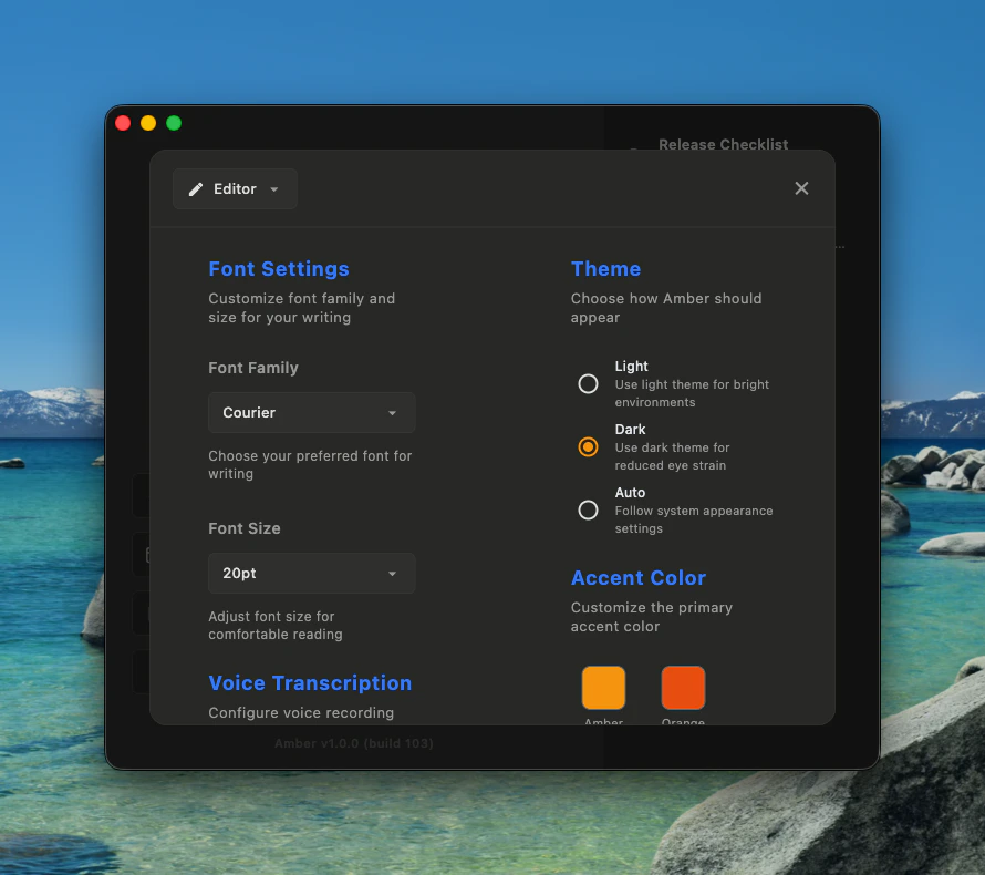 Amber Settings Editor tab showing font settings and theme options
