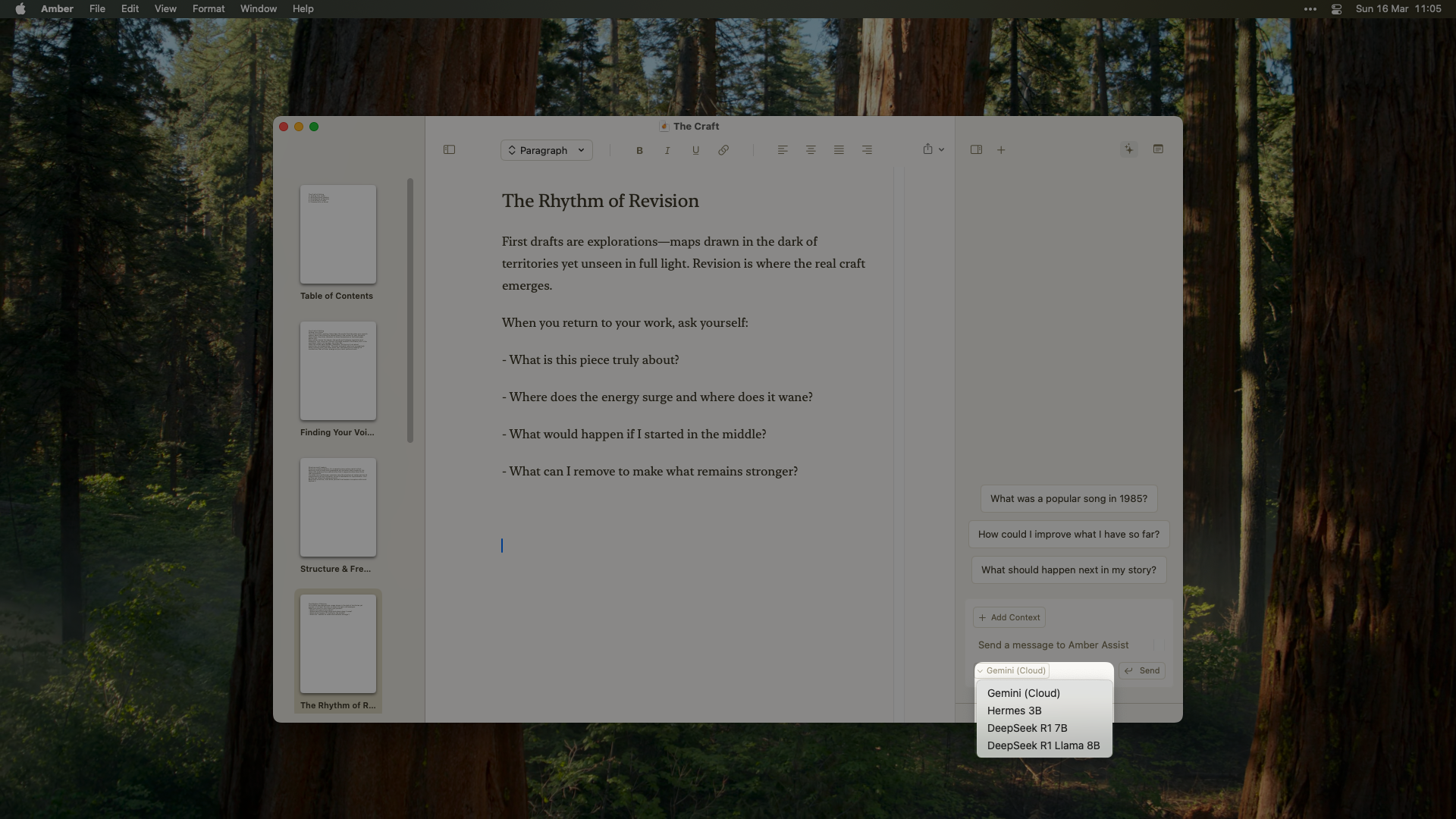 Amber's Large Language Model selection menu