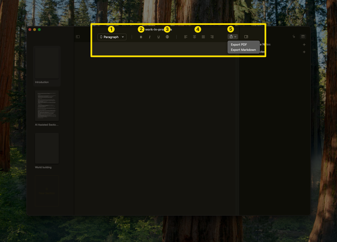 Amber's rich text formatting bar with styling options