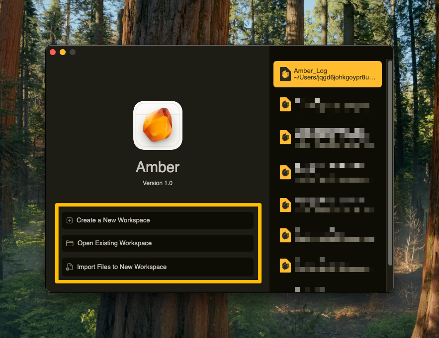 Amber's workspace launcher showing new workspace, open, and import options