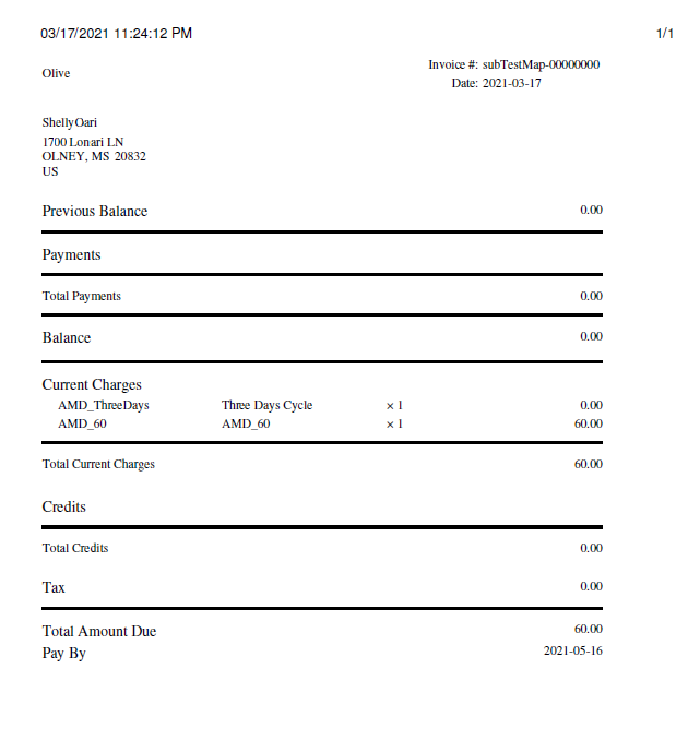 Vindicia Template Invoice Example