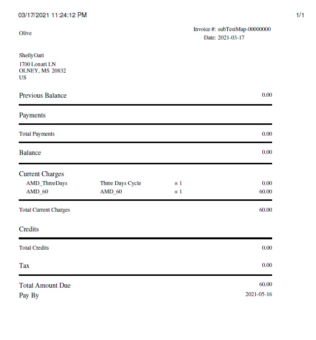 Vindicia Template Invoice Example