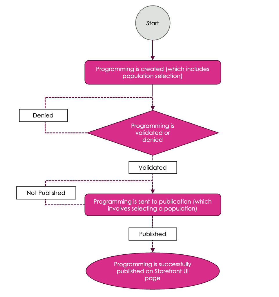 Programming Workflow