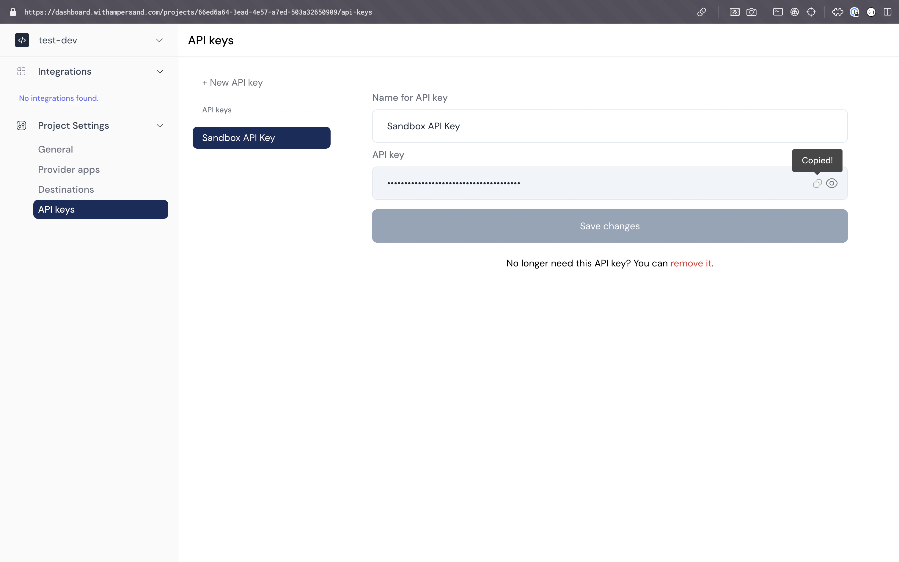 Copy API key