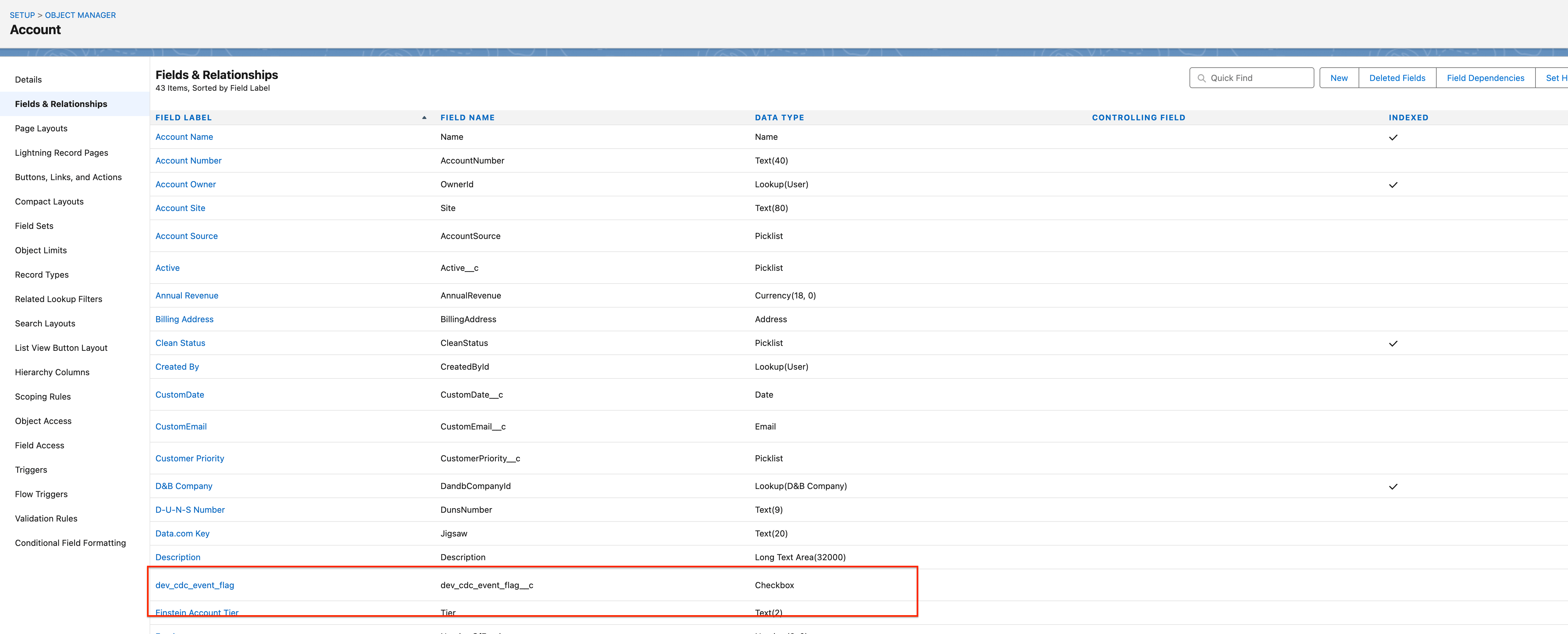Custom checkbox field in Salesforce Object Manager Fields & Relationships