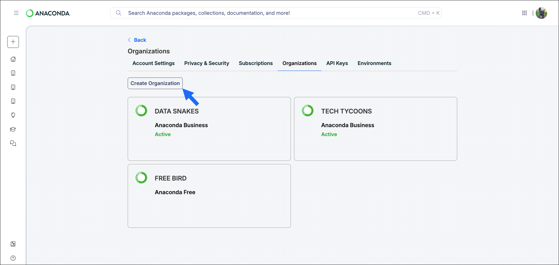 Create new organization button