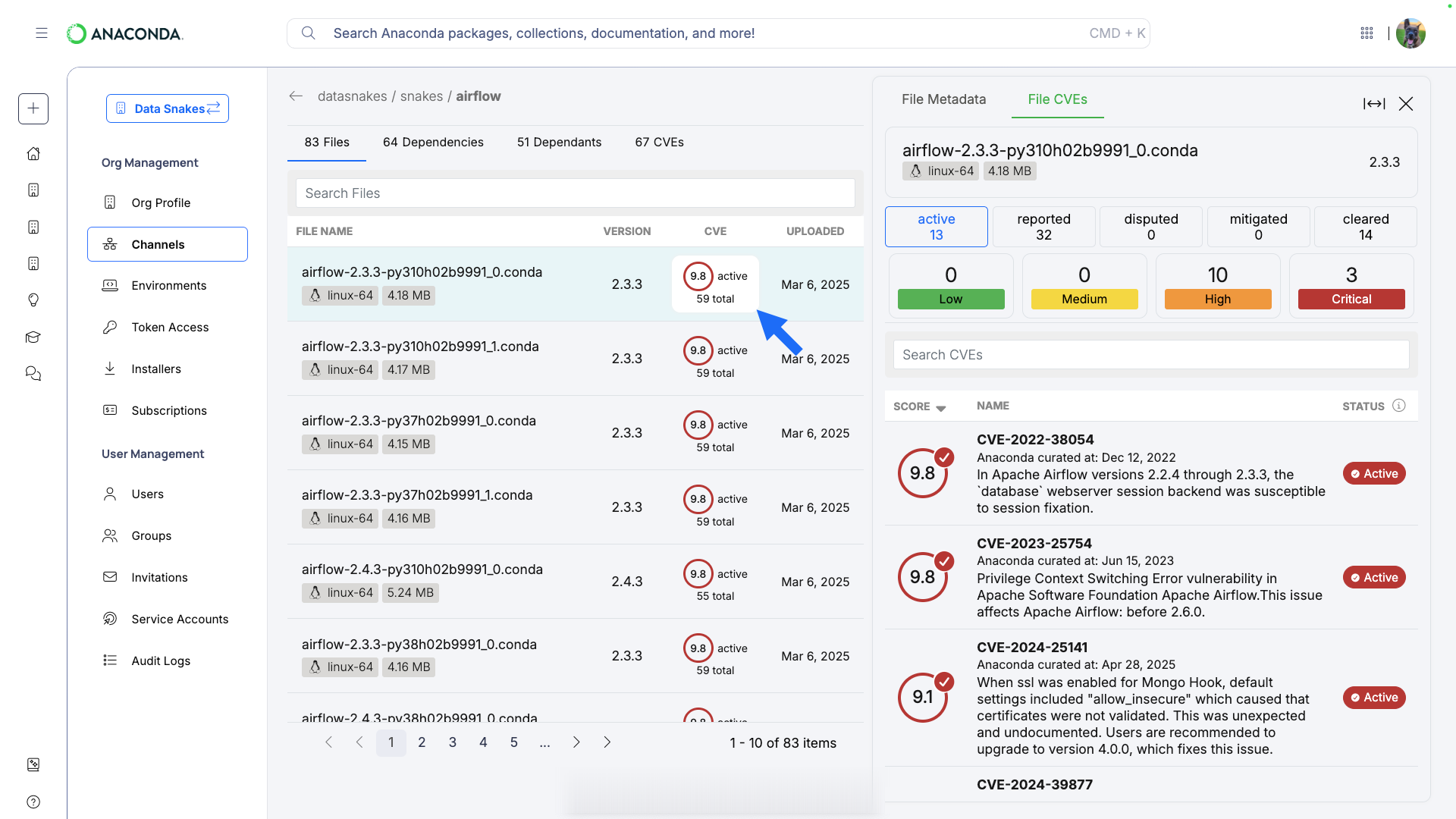 CVEs affecting a package file