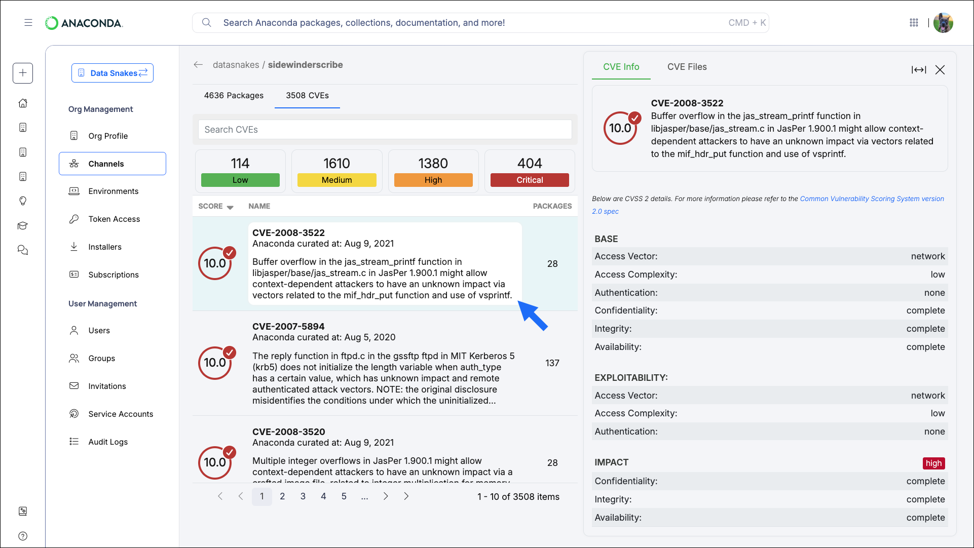 CVE information panel