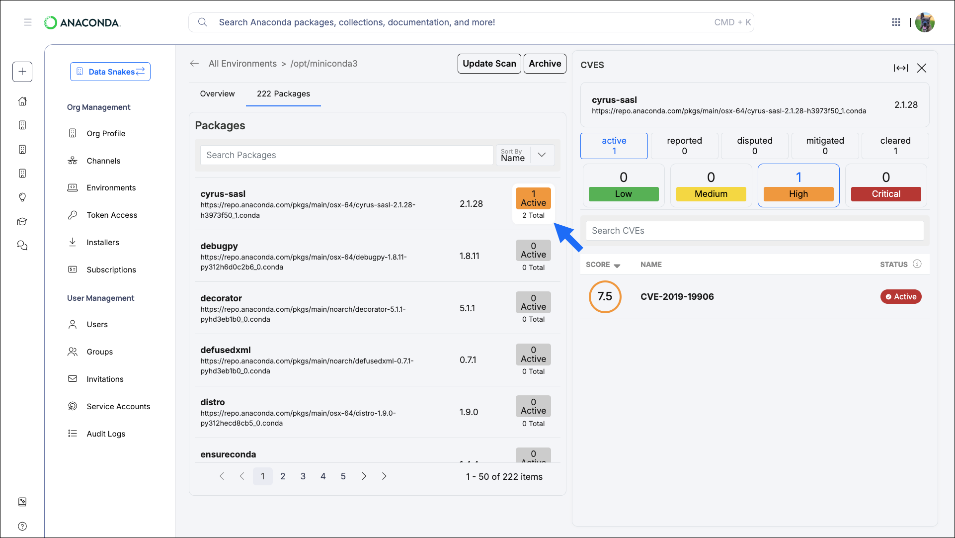 CVEs associated with a specific package in a logged environment