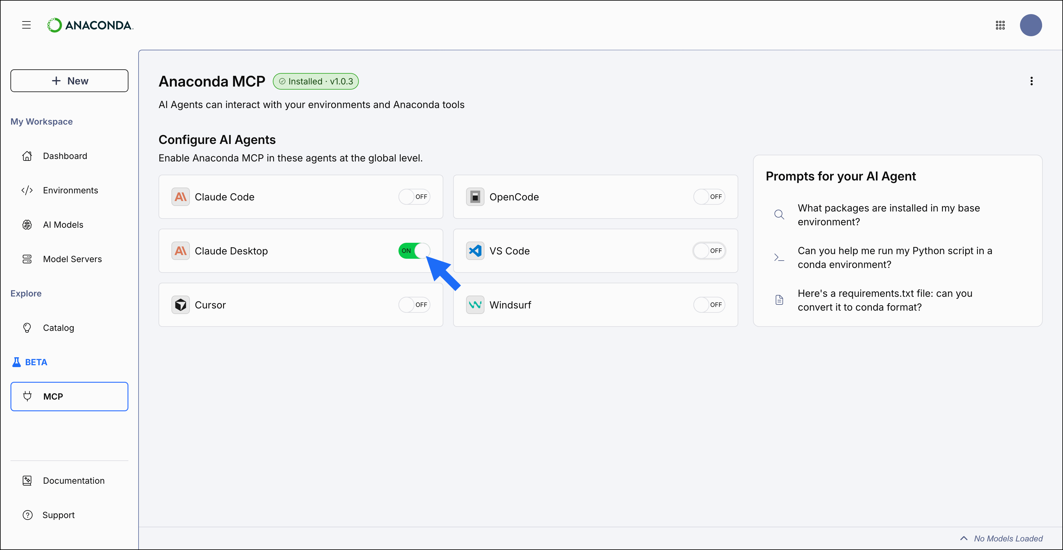 Anaconda MCP setup page
