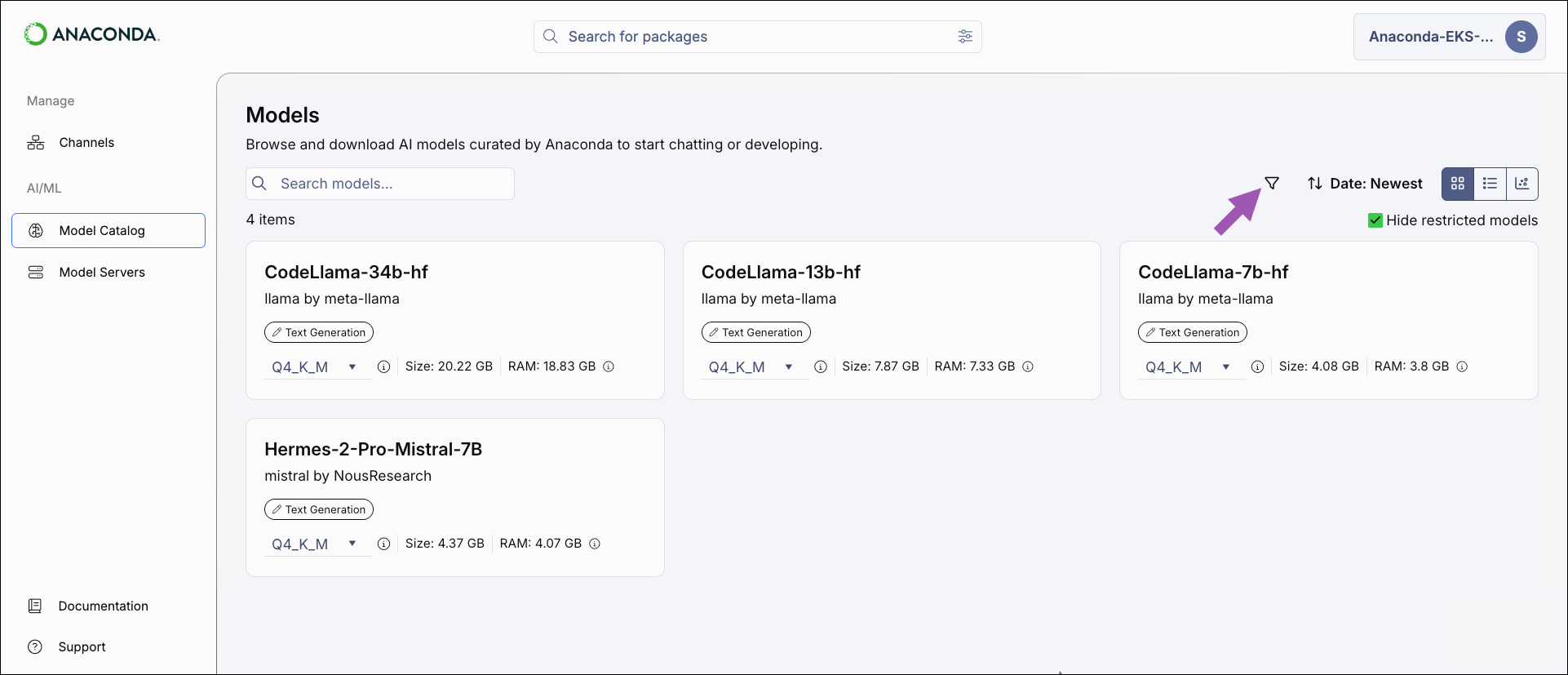Models view with filter icon called out
