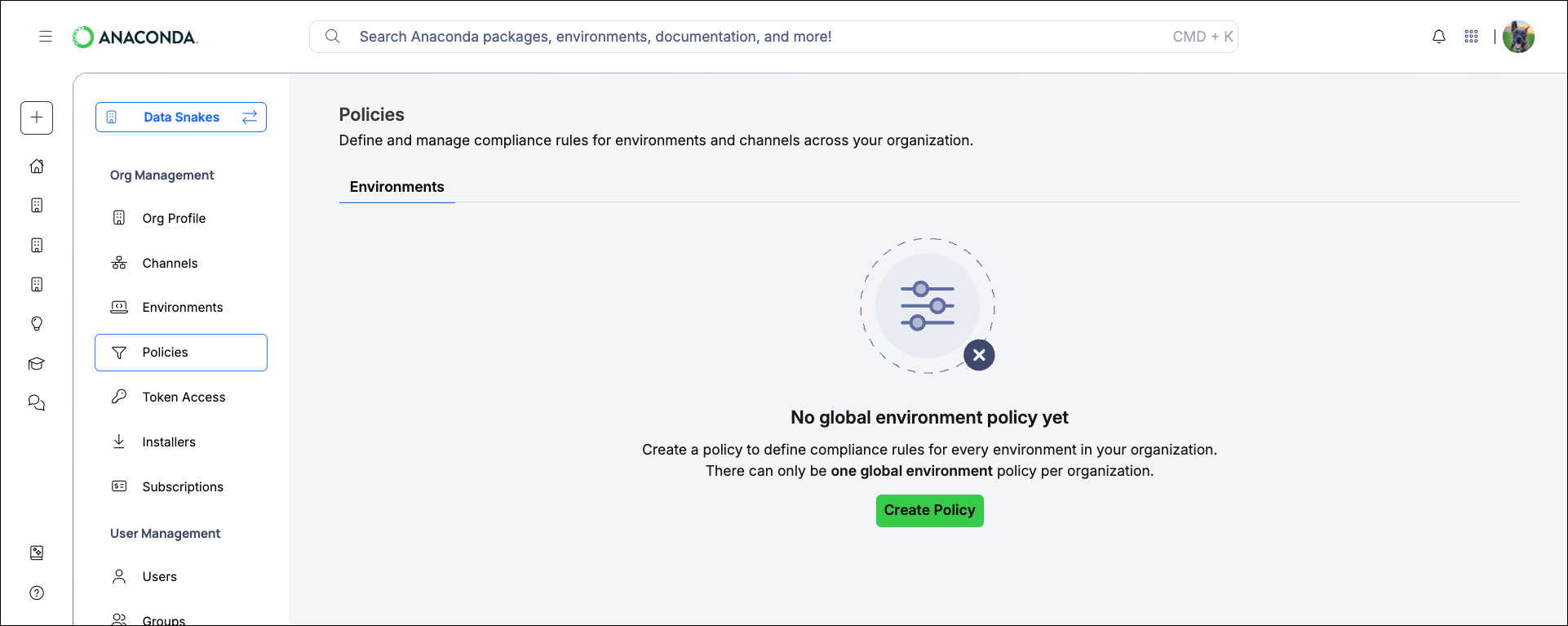 The environment policy creation wizard