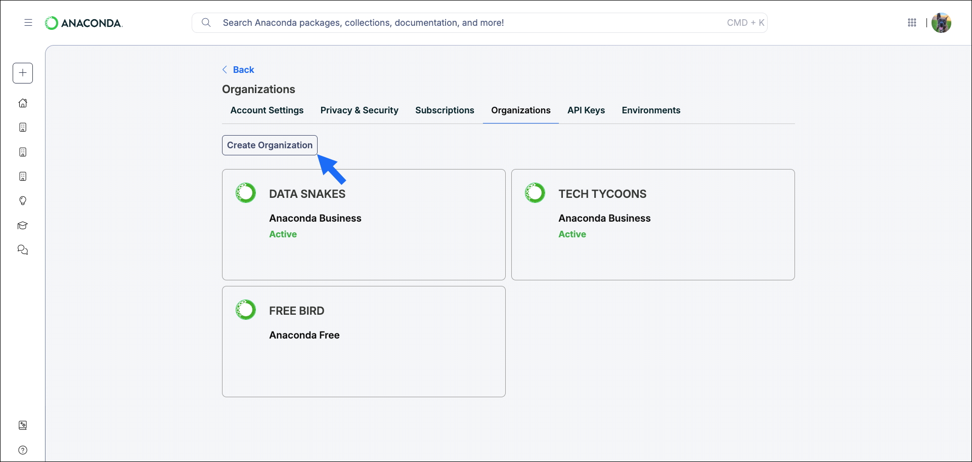 Create new organization button