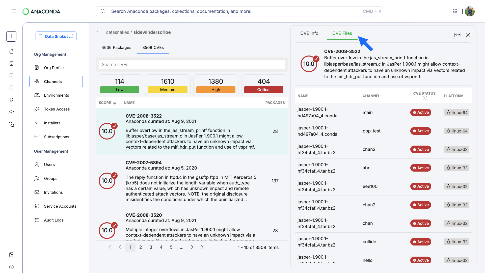 CVE files list