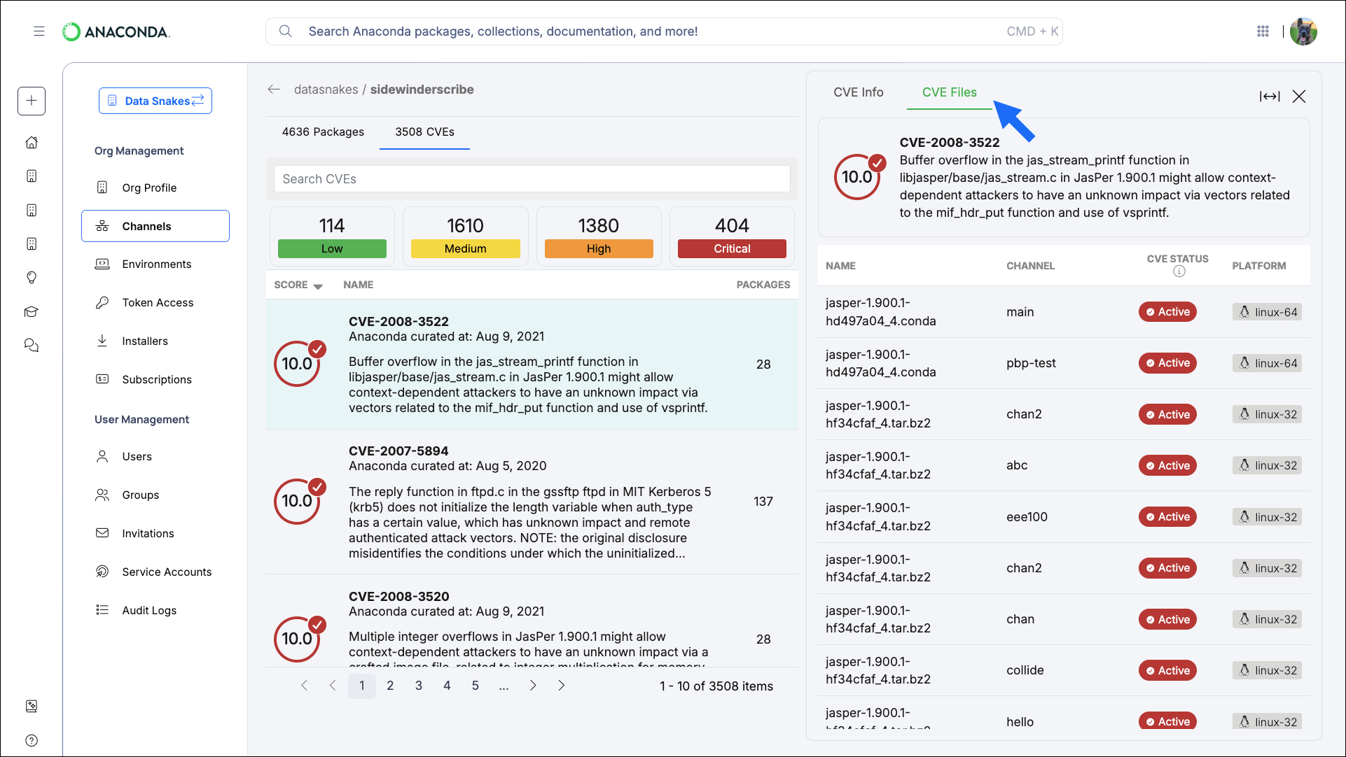 CVE files list