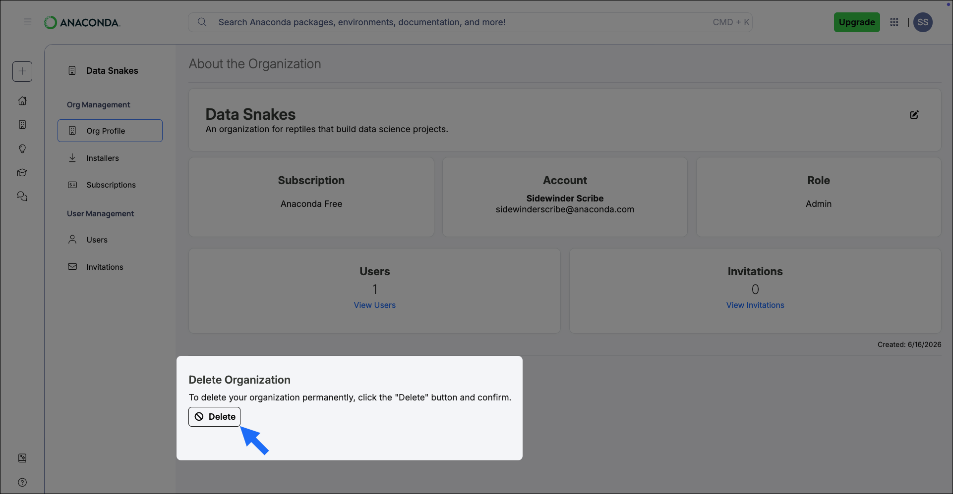Delete Organization section with Delete button