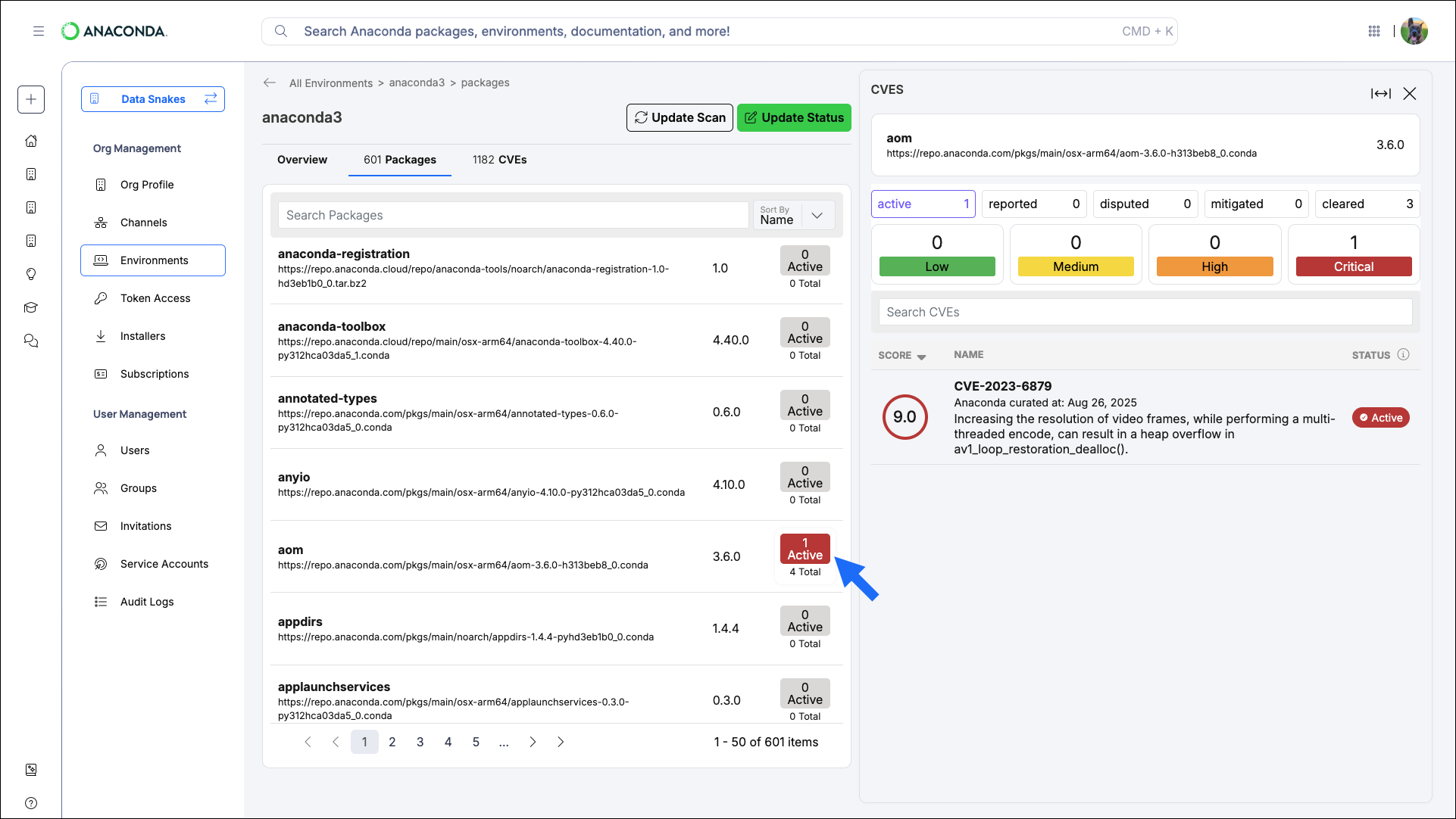 CVEs associated with a specific package in a logged environment