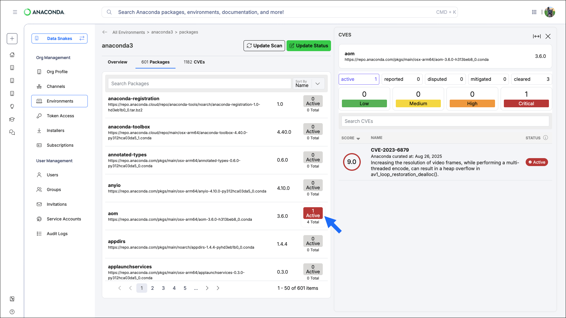 CVEs associated with a specific package in a logged environment