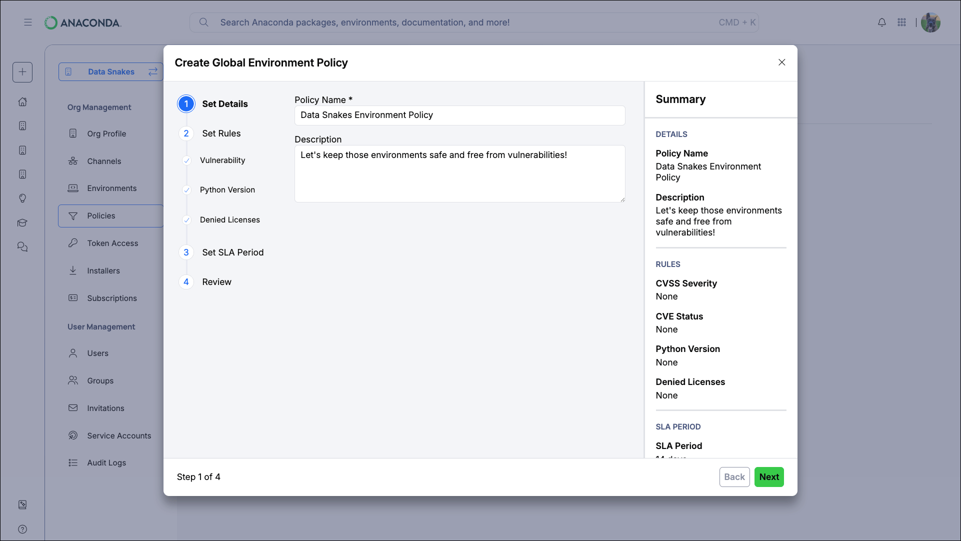 Policy Details step showing name and description fields