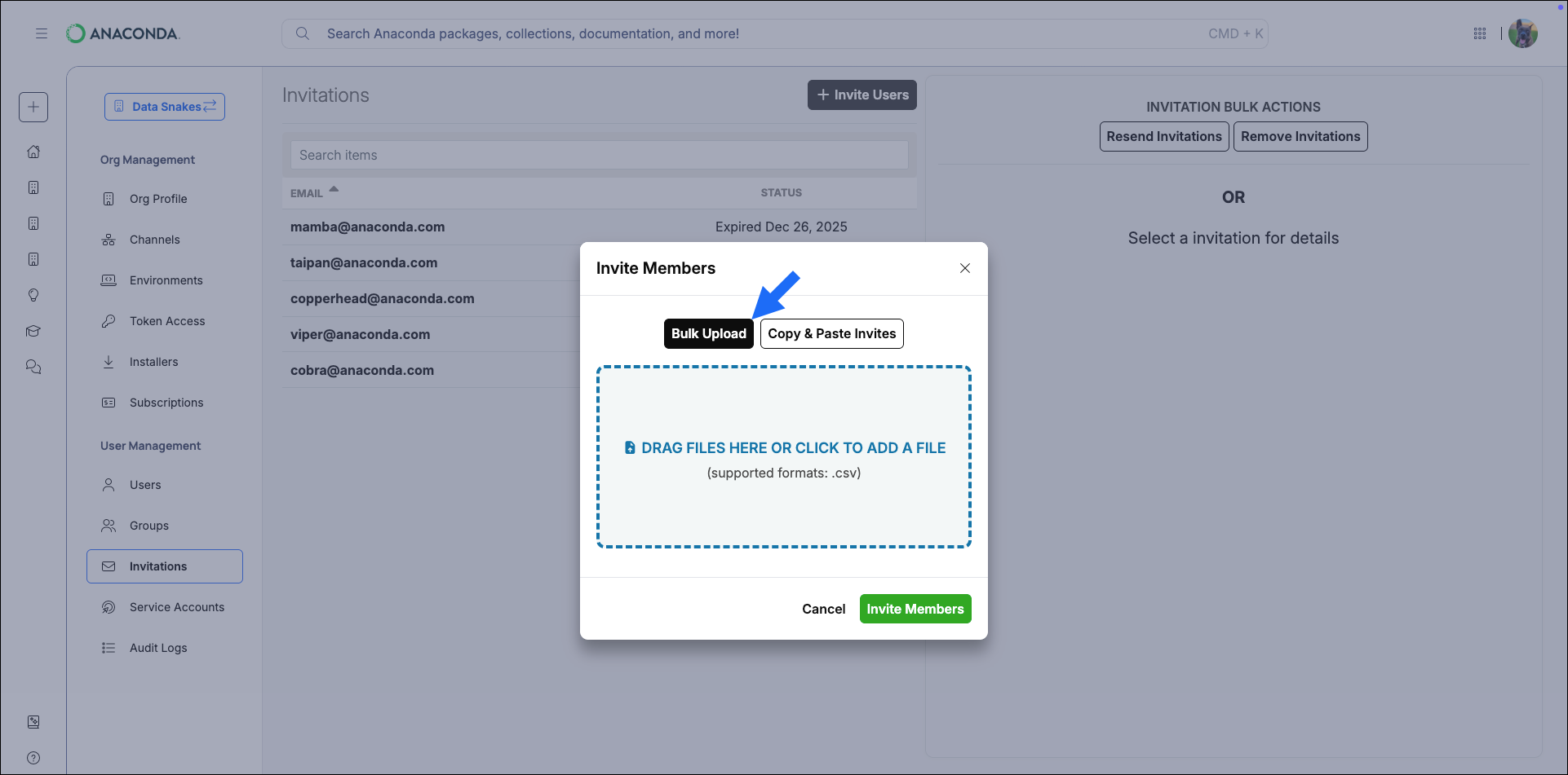 Invite members bulk upload dialog