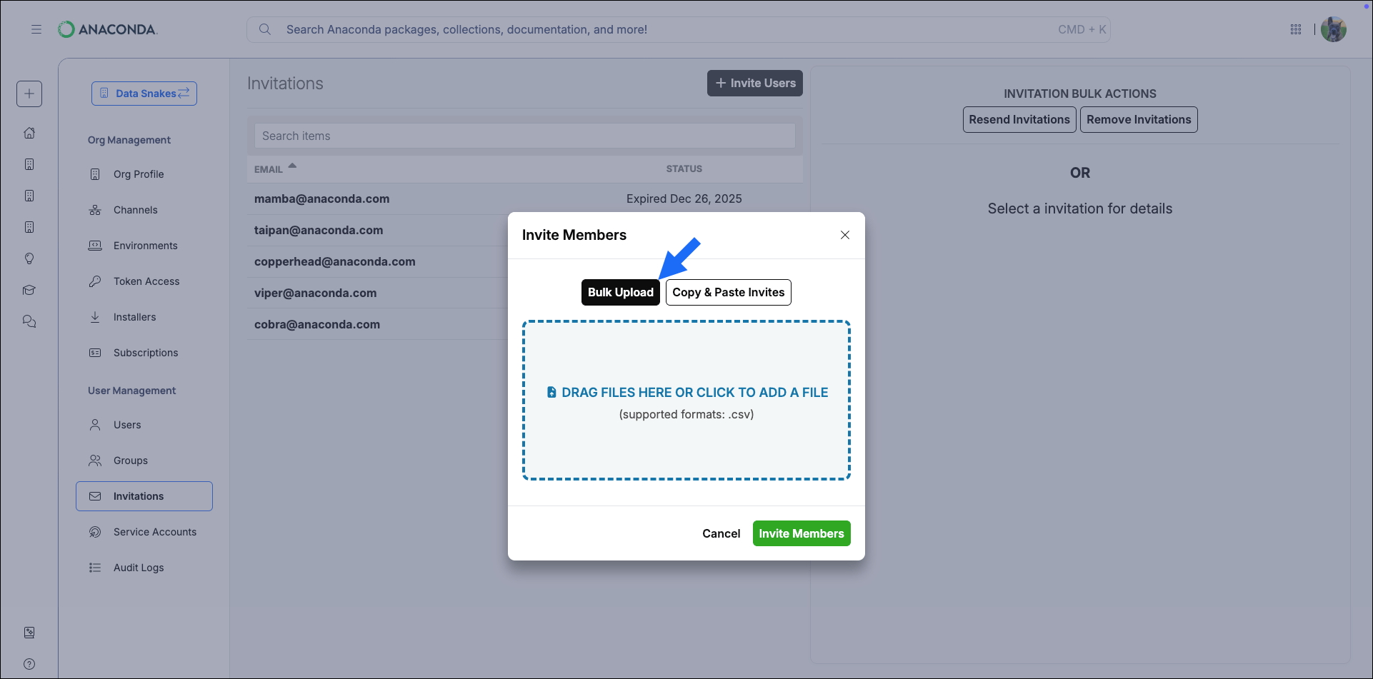 Invite members bulk upload dialog