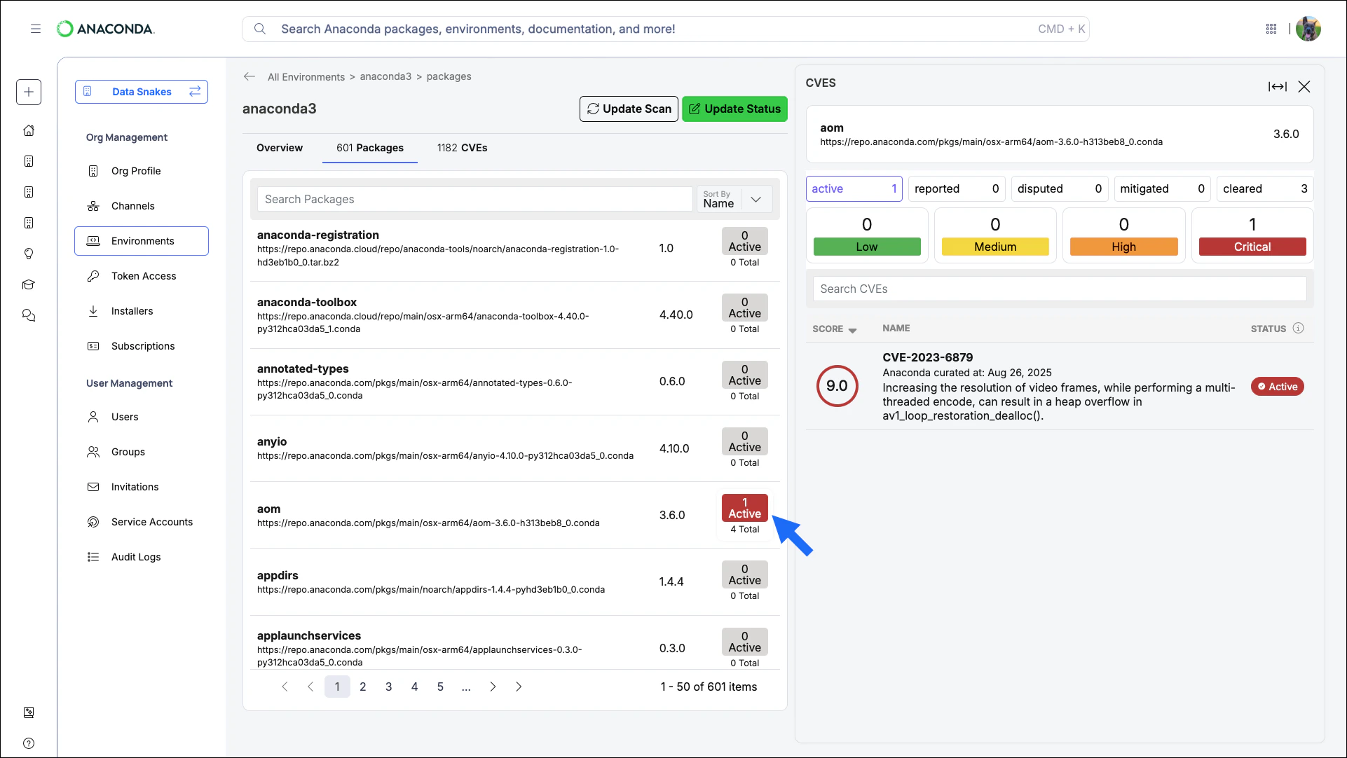 CVEs associated with a specific package in a logged environment