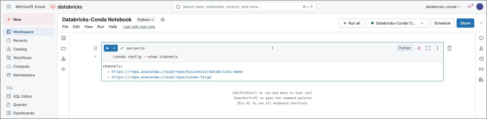 databricks notebook, viewing conda channels