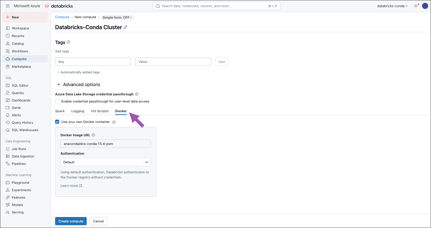 databricks container service — compute, advanced options, docker tab