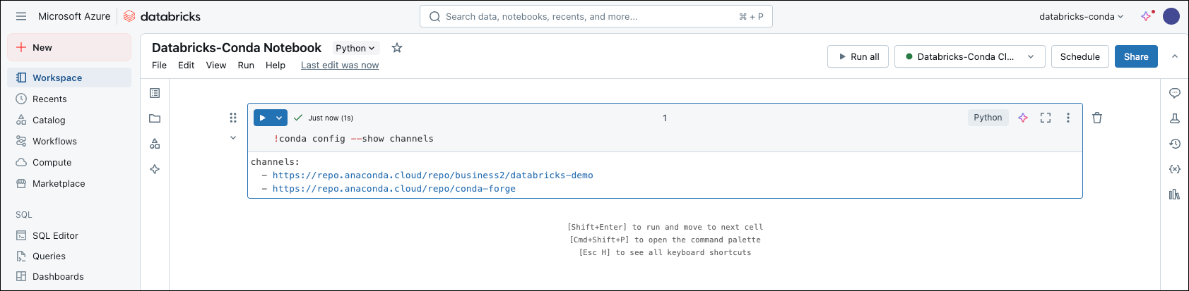 databricks notebook, viewing conda channels