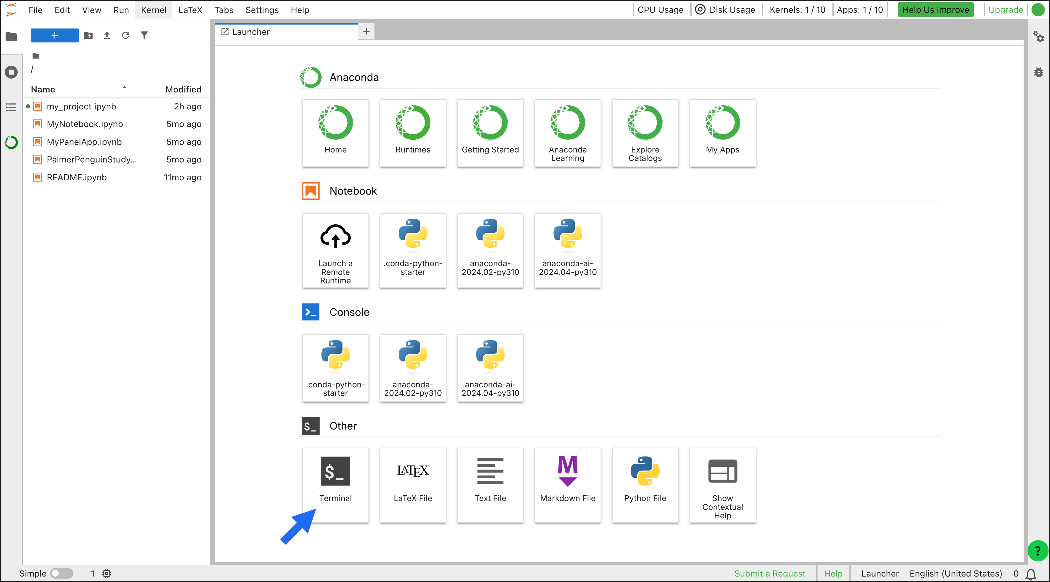The Anaconda Notebooks Launcher page with an arrow pointing to the Terminal option