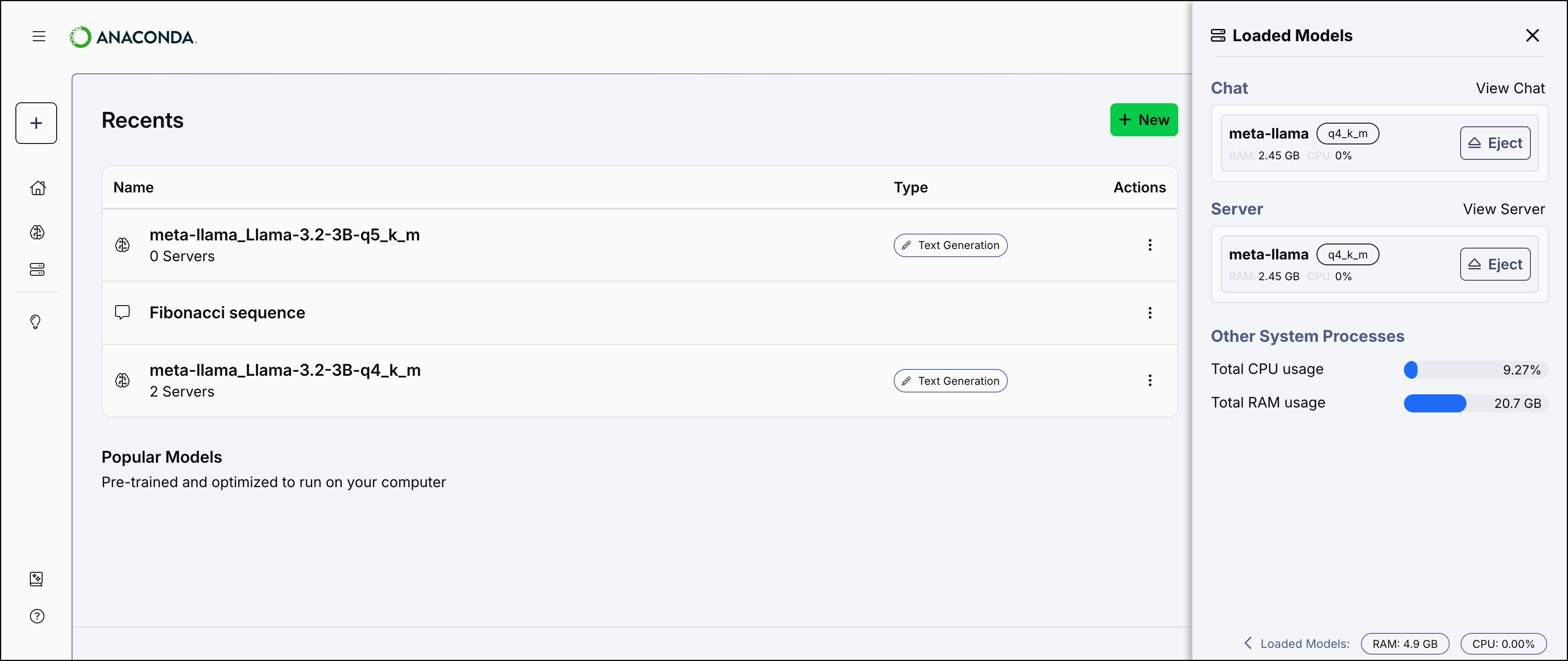 Resource consumption pane showing loaded models with CPU and RAM metrics