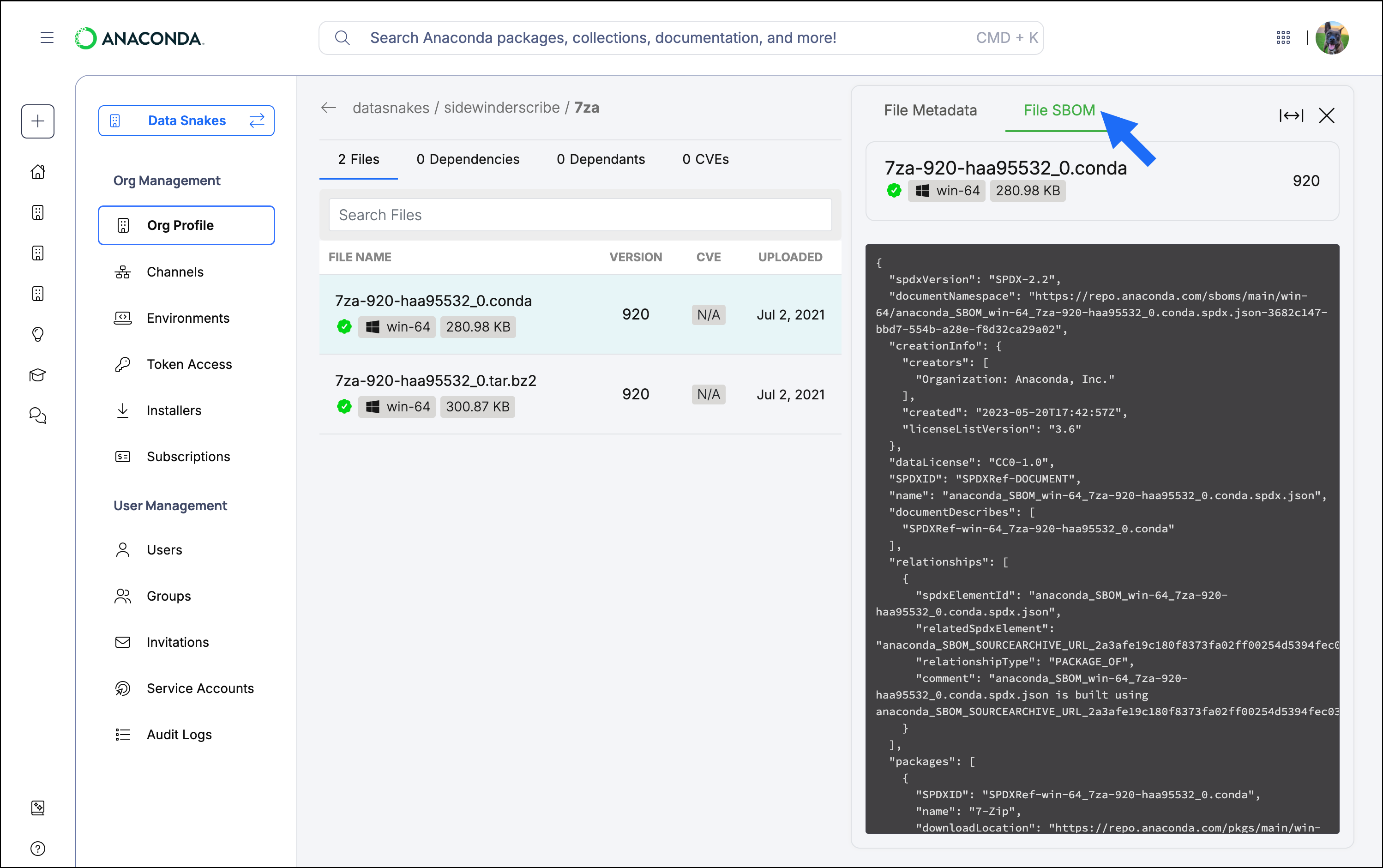 Package file SBOM tab