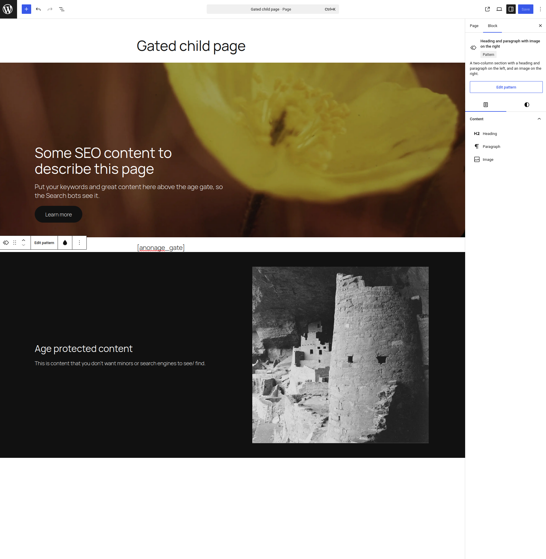 A WordPress page in the block editor with the anonage_gate shortcode dividing public content from restricted content