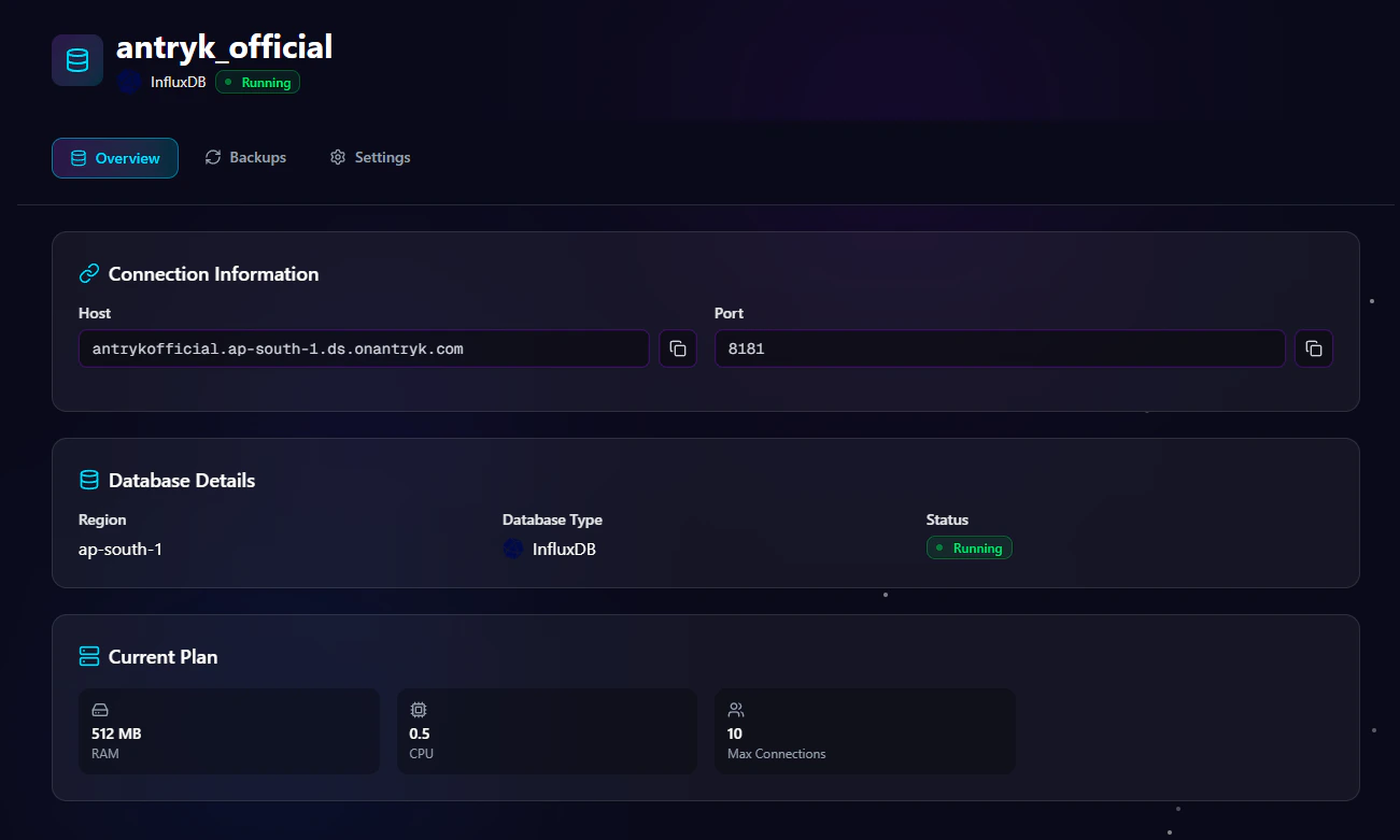InfluxDB Database Detail Overview Page