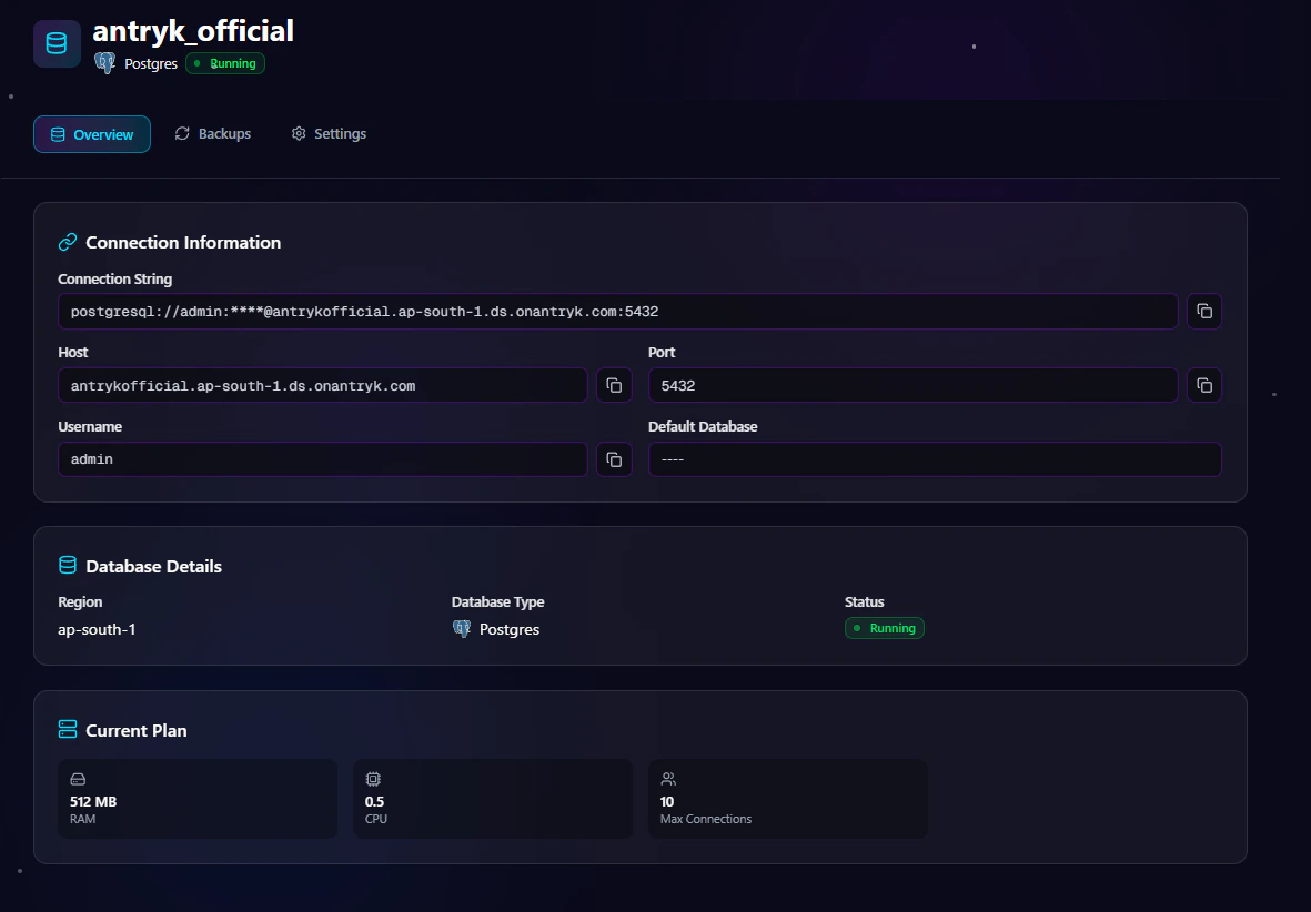 Postgres Database Detail Overview Page