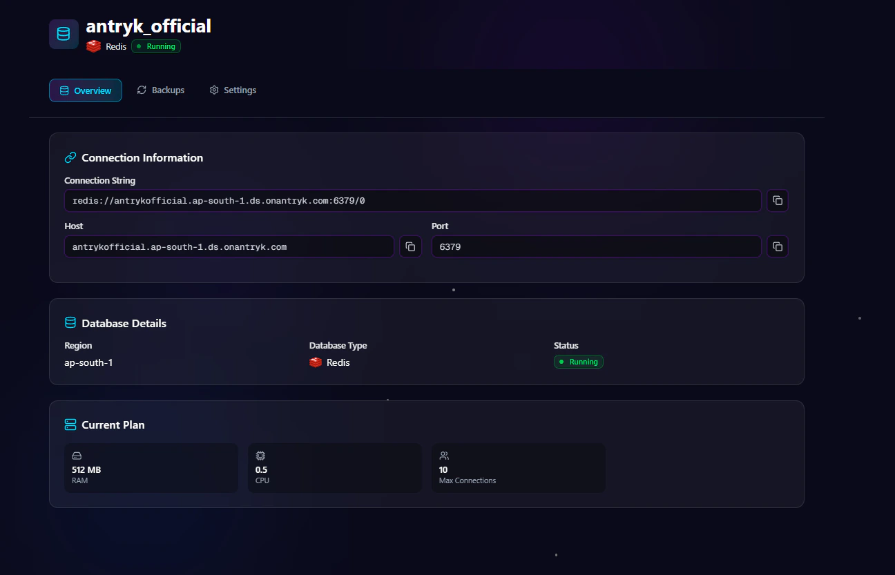 Redis Database Detail Overview Page