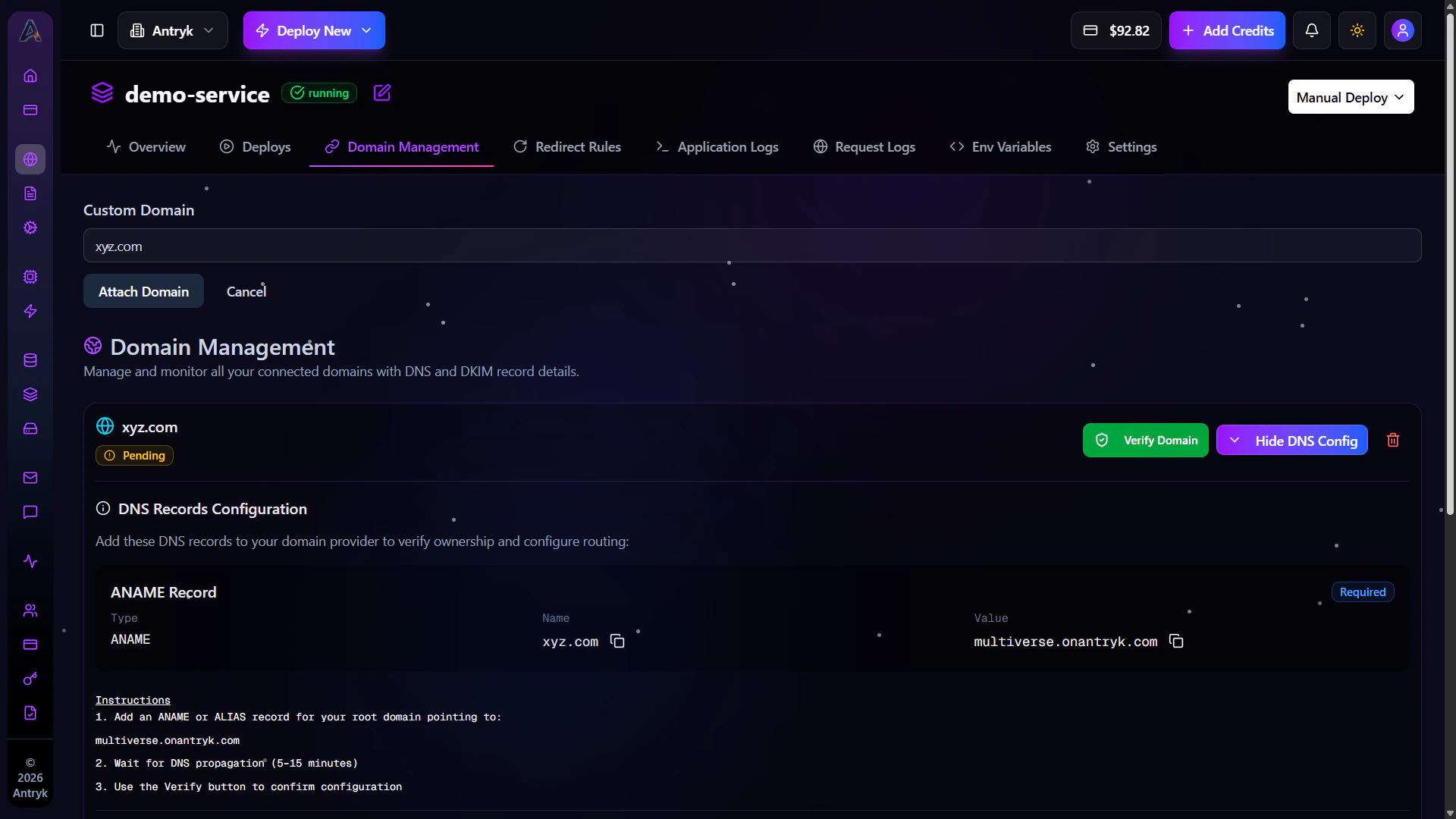 Domain Management Dashboard Detail