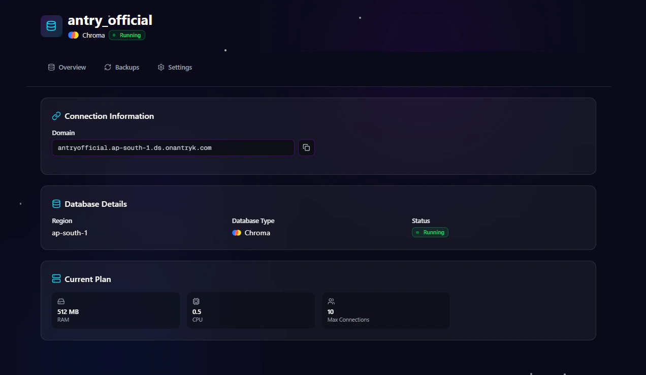 Chroma Database Detail Overview Page