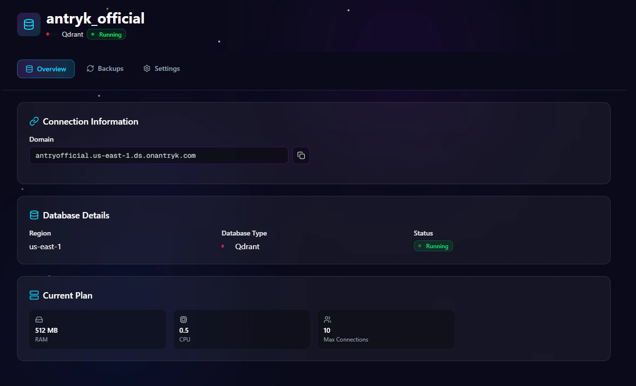 Qdrant Database Detail Overview Page