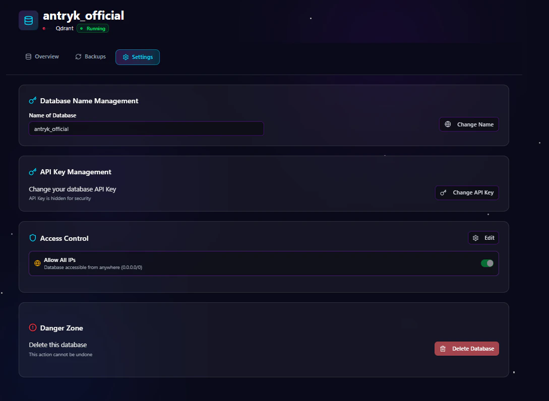 Qdrant Database Detail Settings Page