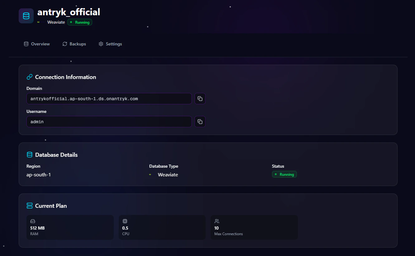 Weaviate Database Detail Overview Page