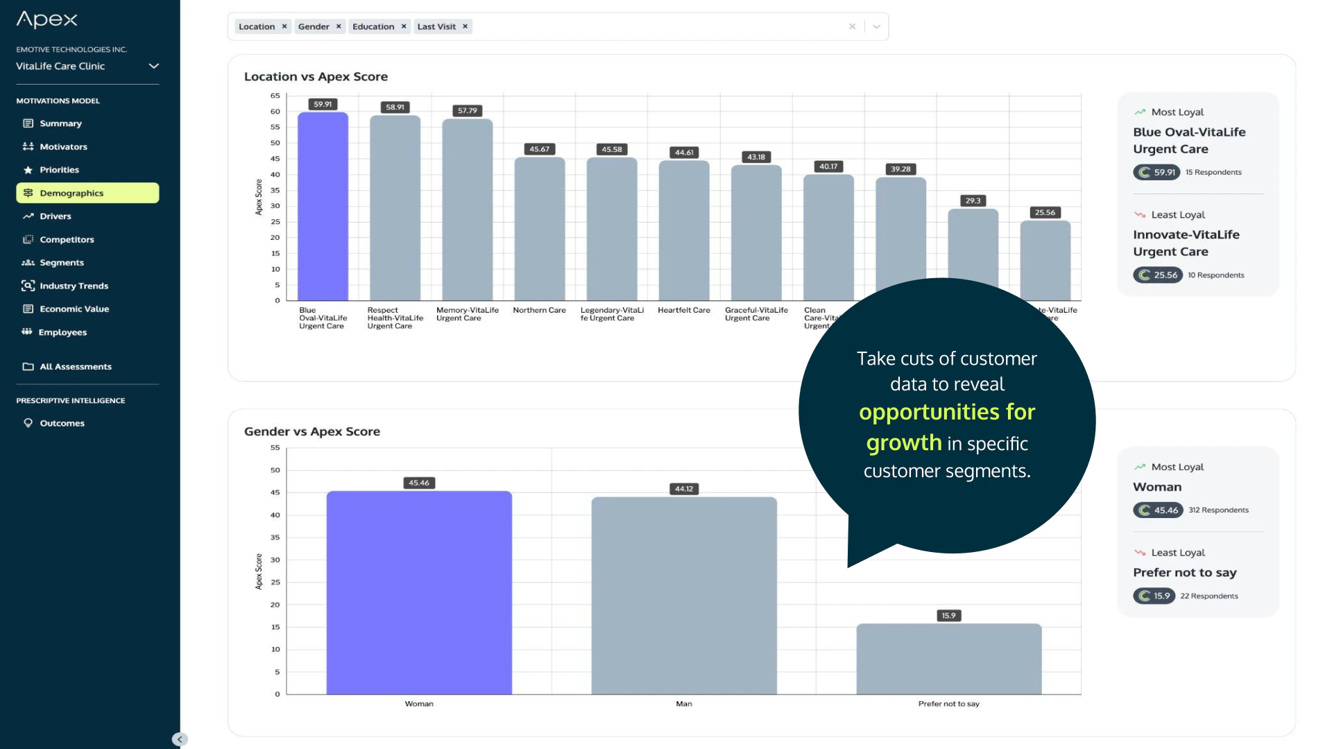 Segment Insights - Demographics