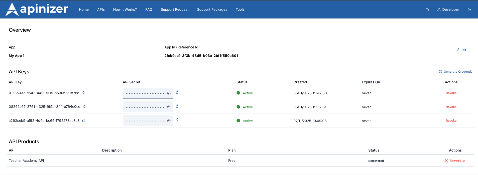 API Key Flow Diagram