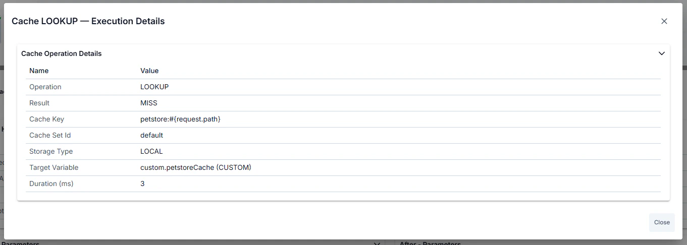 Cache LOOKUP Execution Details modal