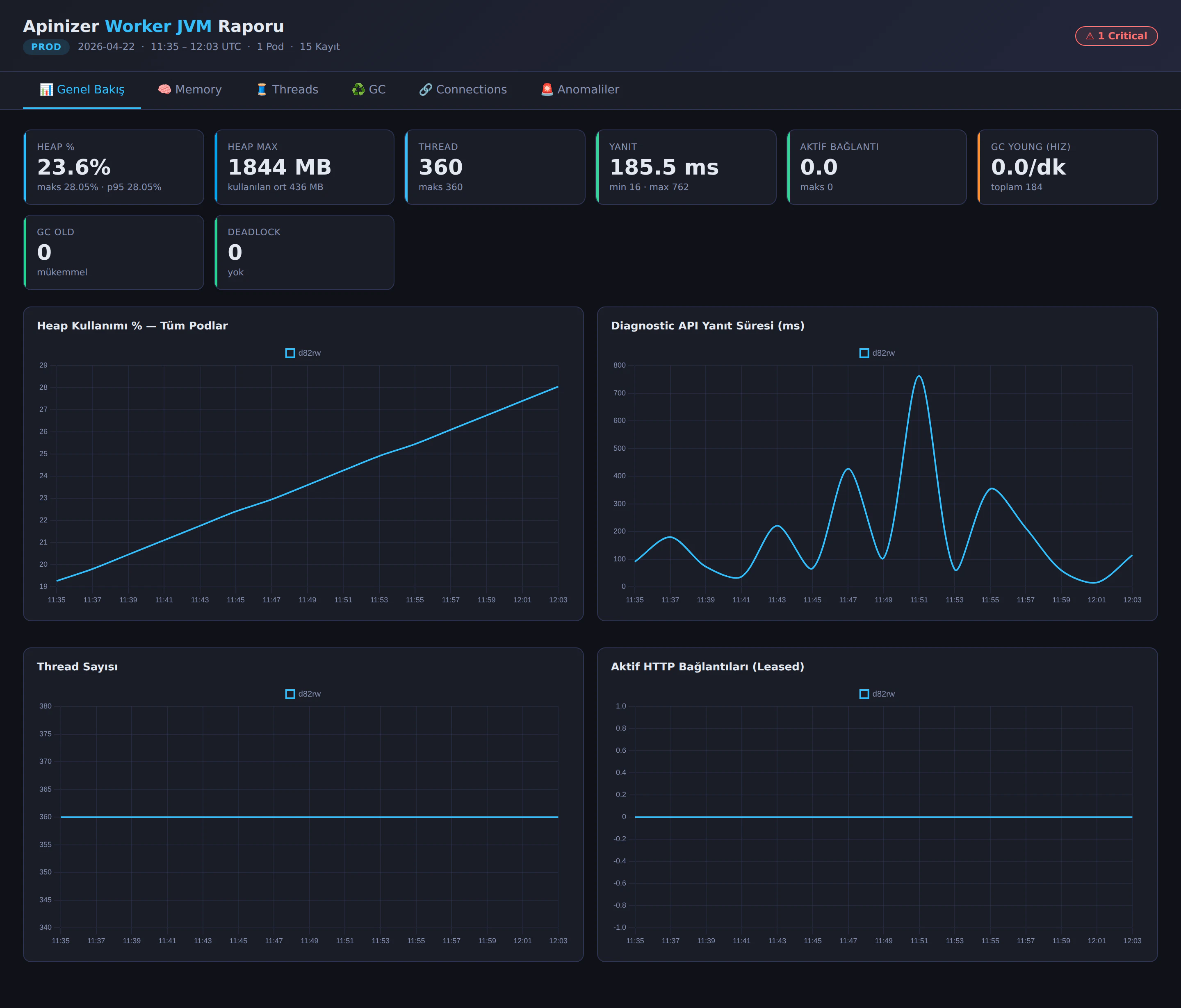 Apinizer Worker JVM Report — Overview Tab